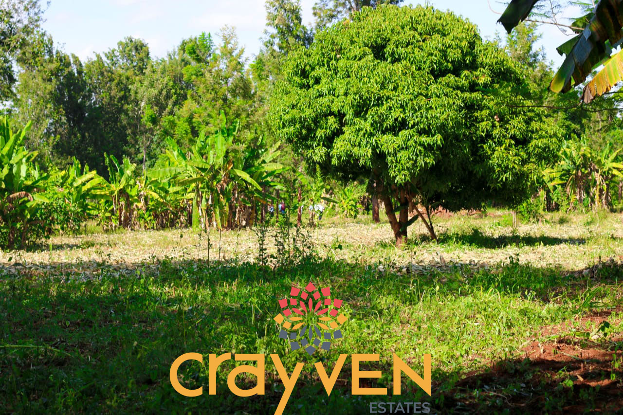 Makuyu Greens Plots for Sale – Ksh.1.1M Sold Out!